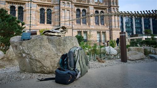 alt="Camera gear bags in museum garden"