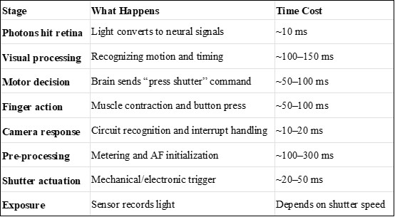alt="Photography reaction time stages table"